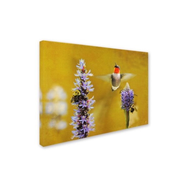 Jai Johnson 'Breakfast With The Bees Hummingbird' Canvas Art,24x32